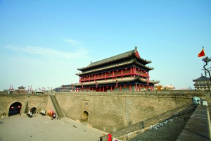 �����ǉ� �Y�ψDƬ