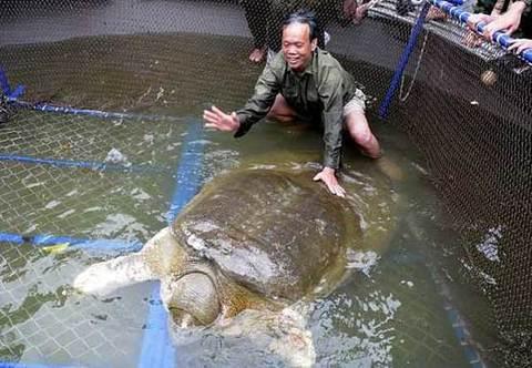 Խ��340��������M������ �e������(�D)