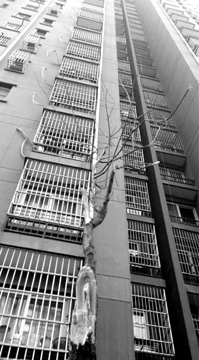 СŮ���Ę��ϵ��r�ě_��������֦���Ҕ�����