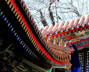 ����������l(f��)�F(xi��n)���U�͈@���Ƶ��������ݼ�߅��̎һ���T�P���ˡ�ȱʧ���˵ؾo����ɽ�������ο����ֿ��|�����ɘ�(g��u)�����I��ӛ������̽�L�������й����ˆT�ڬF(xi��n)���ޏ�(f��)���U�͈@����̎�Q��ȱʧ������(g��u)�����(f��)�Ƙ�(g��u)�����������L(f��ng)�����g�������L(f��ng)���䣬���ο͓�ʰ��ԭ����Ȼ���������췿��