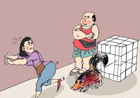 ���ݷ�D؜�uҰ����(d��ng)�ﱻ���V ��ֵ�σ|Ԫ����ߙn��(hu��)������