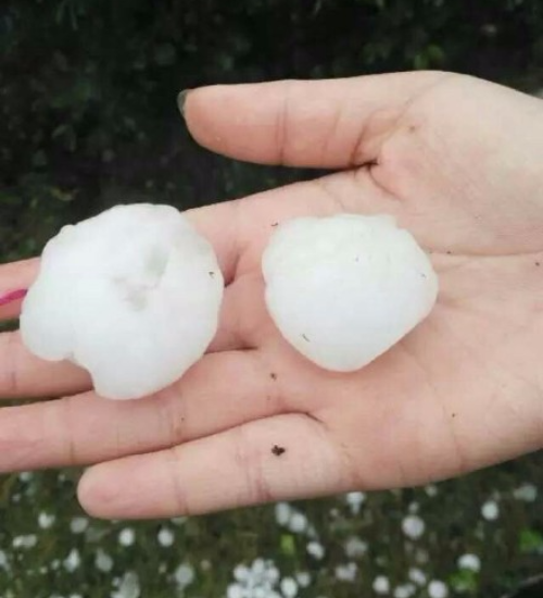 �Ϸ���ʡ�^(q��)�󵽱��� ���ڙC(j��)������e���`(�D)