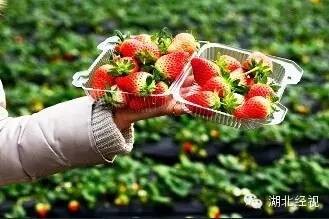 ��ݮ��ժ�@��؈ā������͵͵��ˎ �����u�o�ο�(�D)