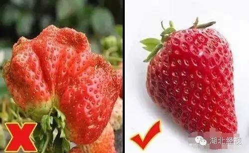 ��ݮ��ժ�@��؈ā������͵͵��ˎ �����u�o�ο�(�D)5