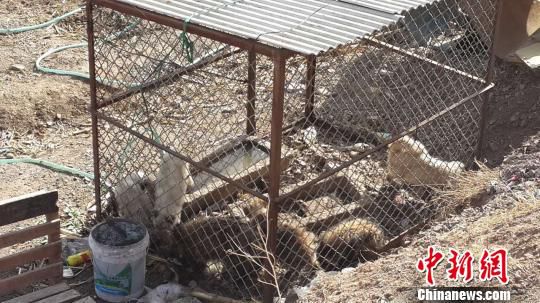 �D�鱱�����ᜫ�ӿڴ��������ץ�صĲ��ַ�����(d��ng)�����Ǻ��� �z