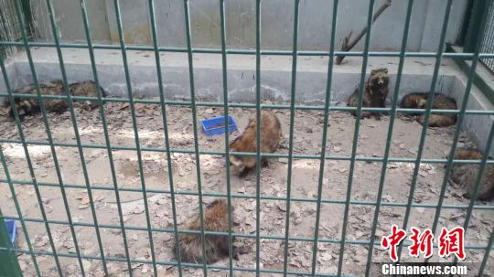 ������������{�������¼��M�����ҵ�������380ֻ