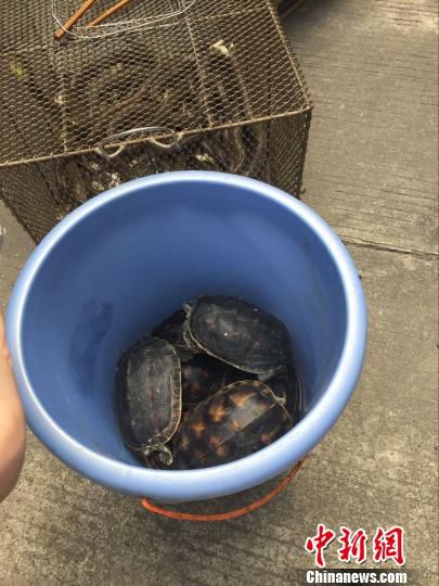 4��20�գ��������֘I(y��)�ֽM��ɭ�ֹ����Ȉ�(zh��)���ˆT��ͻ�u���r(n��ng)�w�ɼҲ��^����@Ұ����(d��ng)��һ�������ܞt�� �z