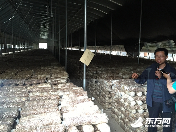 �񄞳���Ƙs���D�Ӵ������s���ľW(w��ng)�jý�w