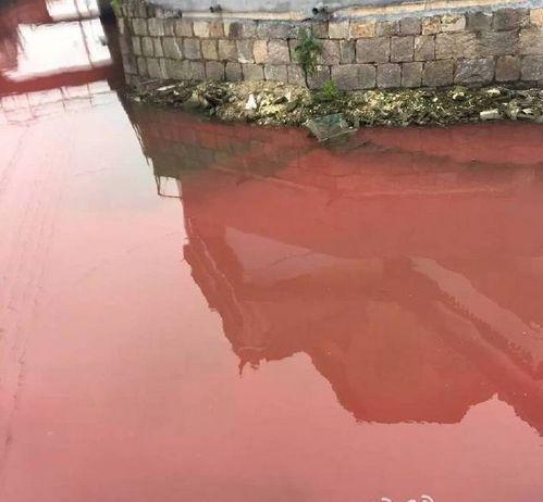 �㽭�������f��ˮһҹ׃�t �h(hu��n)����:������(�D)