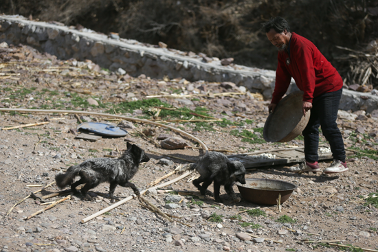 �����|(zh��)��äĿ����:�����İ�ҹ�����ă���