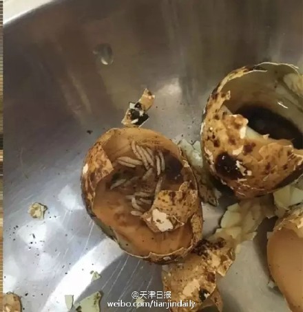 �g�����������