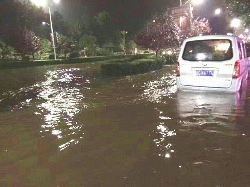 �����������