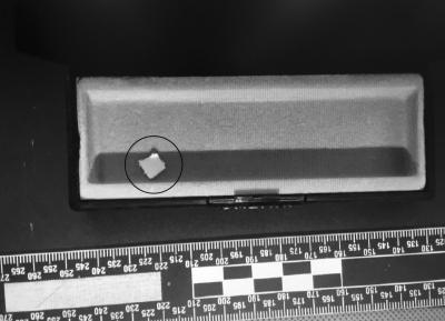 ��؜��΢��΢�ų������Ͷ�Ʒ