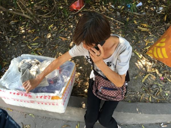 ��Ѯ��̫��(d��ng)��ͨ�`���Sţ �I���u��ٍ��r(ji��)������