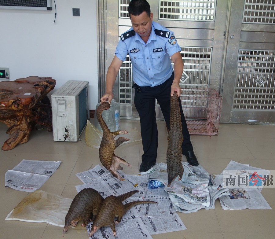 ���r���T��[����ͨ���r �l(w��i)���g��������ֻ��ɽ��