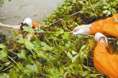 QQ�؈D20160812213327