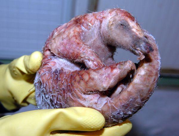 �Ї���Խ���ˌ���ɽ��ҕ�����} �·Ƿ��C�����