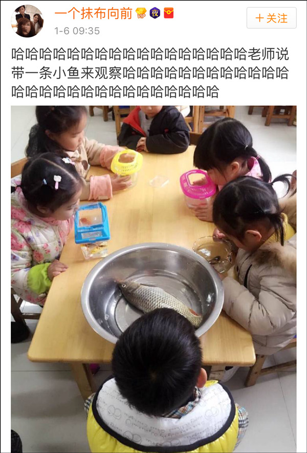 �DƬ������W(w��ng)�ѐ��㣺ˮ���~�����~Ƭ������(l��i)����