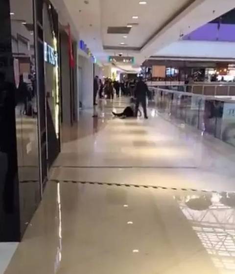 �����̈�����Ů��