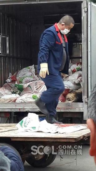 üɽ�Ж|�^(q��)�����(zh��n)�l(f��)����Ȯ������