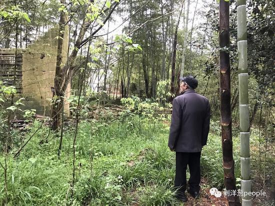 վ������ǰ�����ܵ�Ę�a���c�l(f��)����