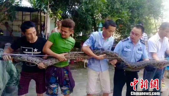 ����4���L(zh��ng)�������P(gu��n)�B(y��ng)18��K�@���