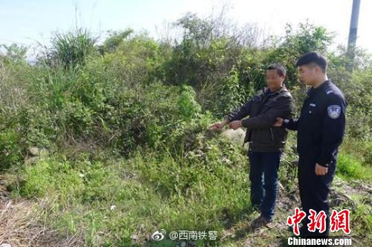 �������^���z�F(xi��n)����Ę���IĹ�\����܇¶ԭ��