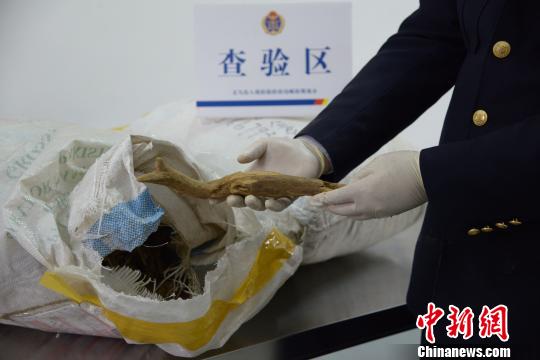 �x���]·�ڰ��״νث@���Ҷ����lΣ��ϡֲ�����ľ