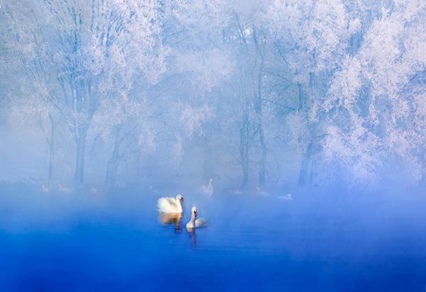 ���F��؟(z��)�� �F���P(gu��n)��(��i)�����Č�ȫ��(gu��)�zӰ��ِ����ِ�@��(ji��ng)���νҕ�