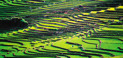 ����ʡ��Ϫ�h��ȫ�����Ρ��l(f��)չ֮·