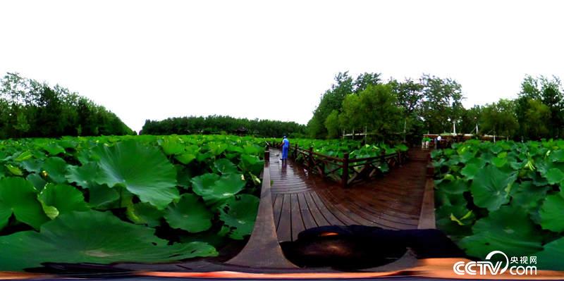 ���@һ��������ҕ�W(w��ng) ӛ�ߺδ��z��