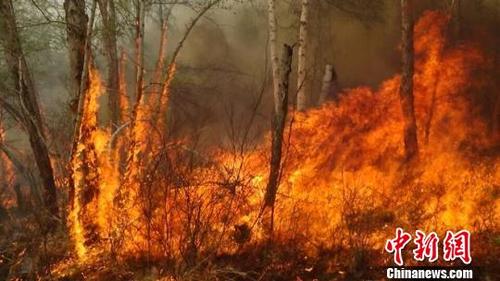 ��(n��i)�ɹŴ��d���X�ߵ��ֈ����(z��i)��Ͷ��4000�˓��