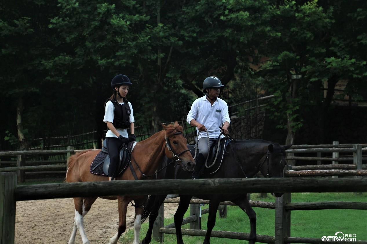 Ī��ɽ�(zh��n)�߶˾�Ʒ���޵ĺ��ą^(q��)������ҕ�W(w��ng) ӛ�ߺδ��z��