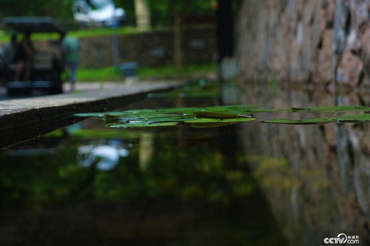 Ī��ɽС�(zh��n)����һ��ˮ��������ҕ�W(w��ng) ӛ�ߺδ��z��