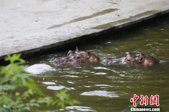 �����{(di��o)���������������K�����ʽ�������