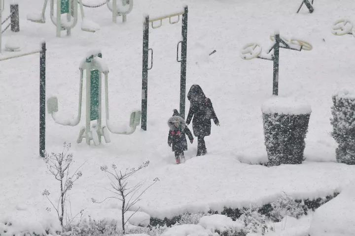 ���ӭ�붬����͜����@Щ�ط��K��ӭ����ѩ����