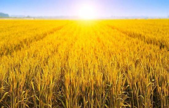 ���մ���ء����r(n��ng)������