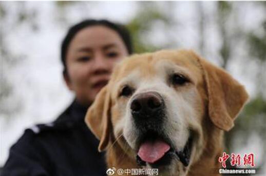 ��ů������Ĵ��\(y��n)֮· �����������Ĉ�(ji��n)�غ͸���