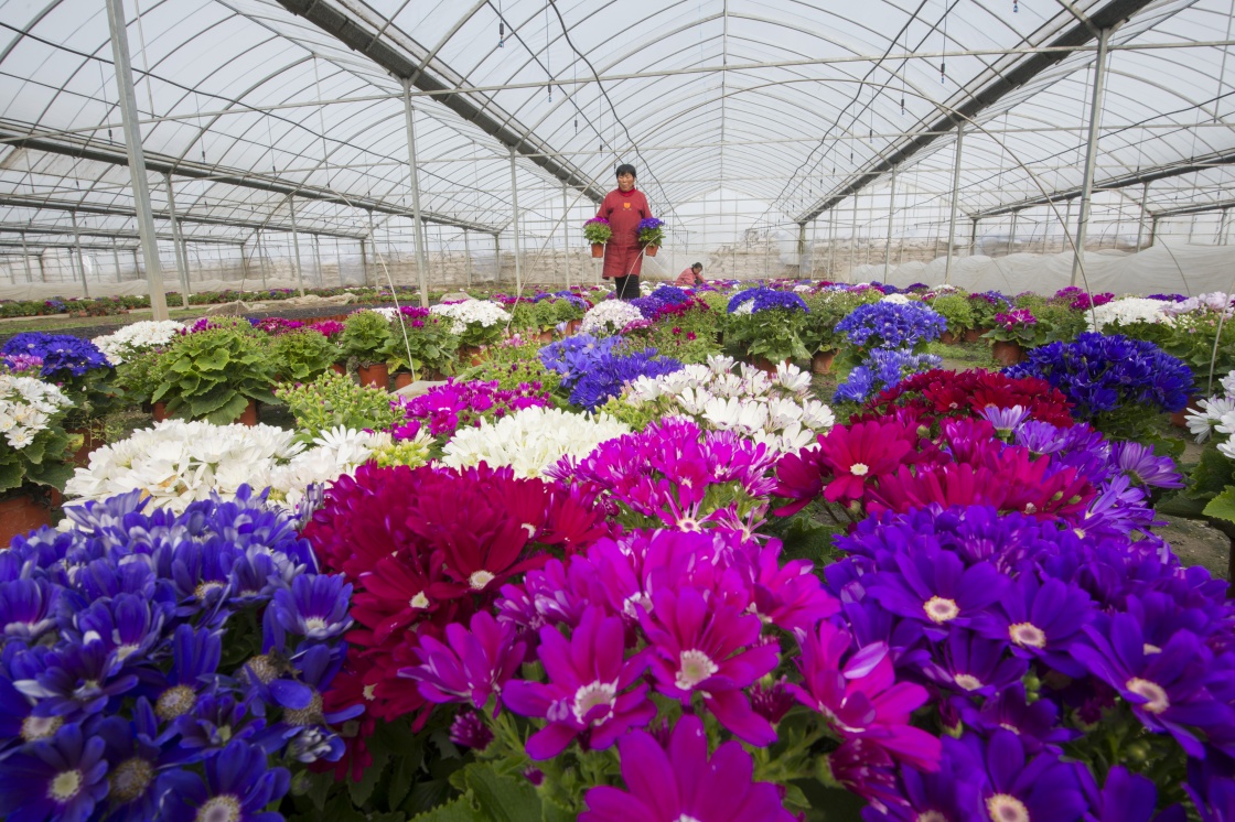 ���r(n��ng)æ