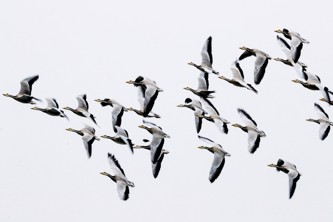 �`��2017�������^�n�n