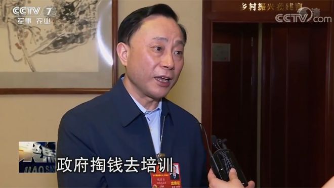 ȫ���˴���� �w����