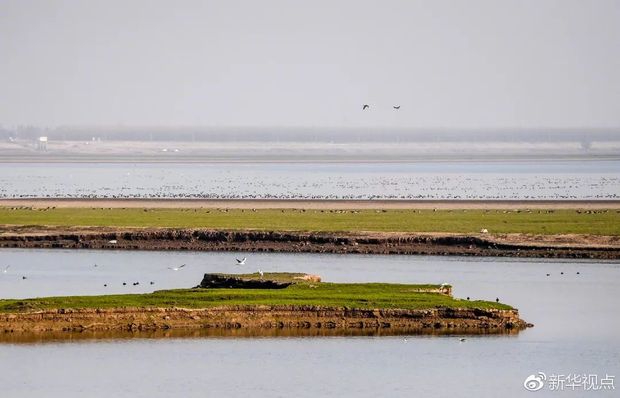 ��(x��)��ƽ���L(zh��ng)�����