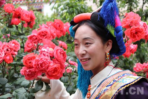 �D�鴩���{�����Ĺ���׿����ķ���zӰ������