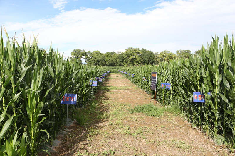 �V�ӿh���P(gu��n)�(zh��n)ʮ��մ���r(n��ng)�I(y��)ԇ�(y��n)ʾ���c(di��n)