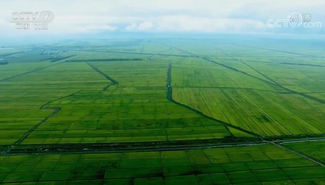 �r(n��ng)��ĸ�