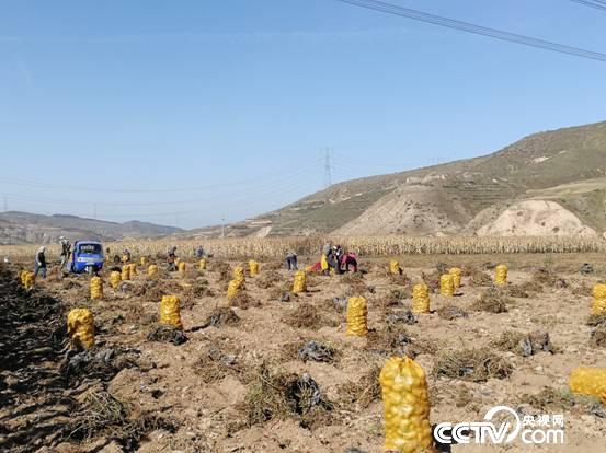 ���҂��ĸĸ��_�š���O�����͡��������Ĺ���