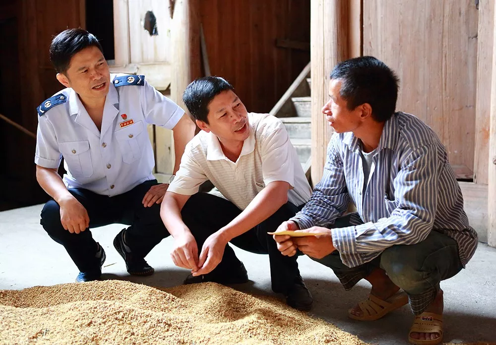 Óؚ����(ji��n)��(zh��n)�о`�ŵĶ���(w��)����