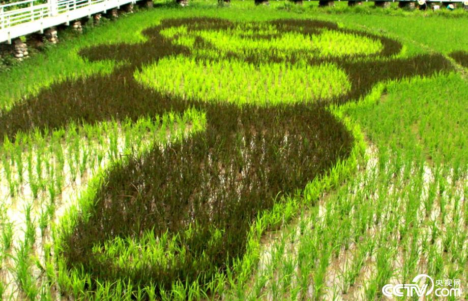 �M�J����(zh��n) ӭ�y���� ���Óؚ����(ji��n)��18��(g��)˲�g