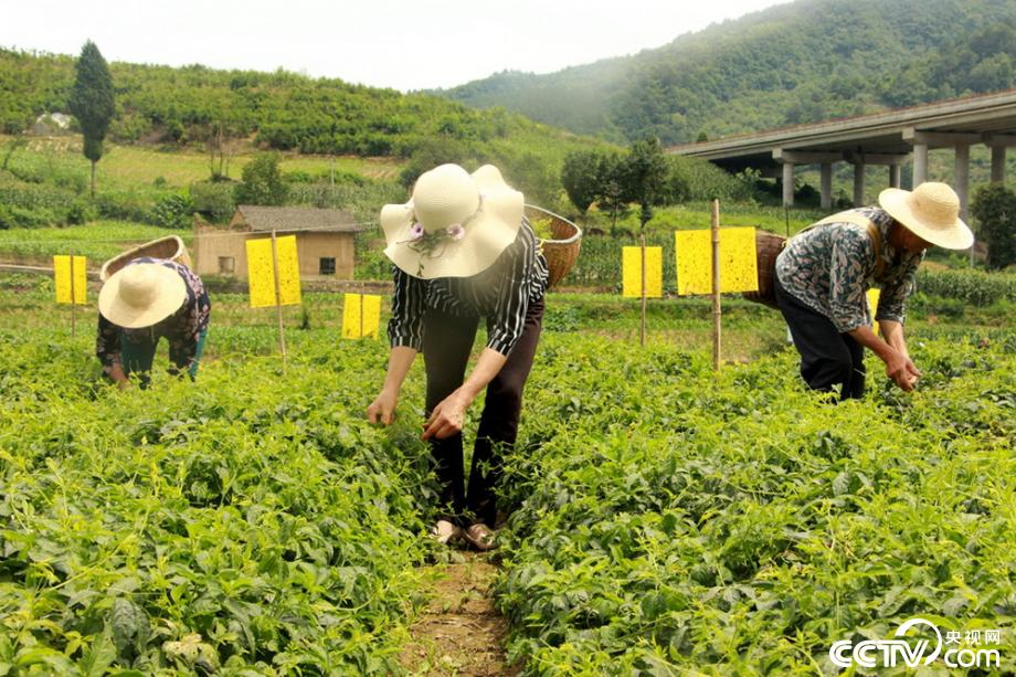 �M�J����(zh��n) ӭ�y���� ���Óؚ����(ji��n)��18��(g��)˲�g