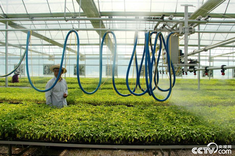 �M�J����(zh��n) ӭ�y���� ���Óؚ����(ji��n)��18��(g��)˲�g